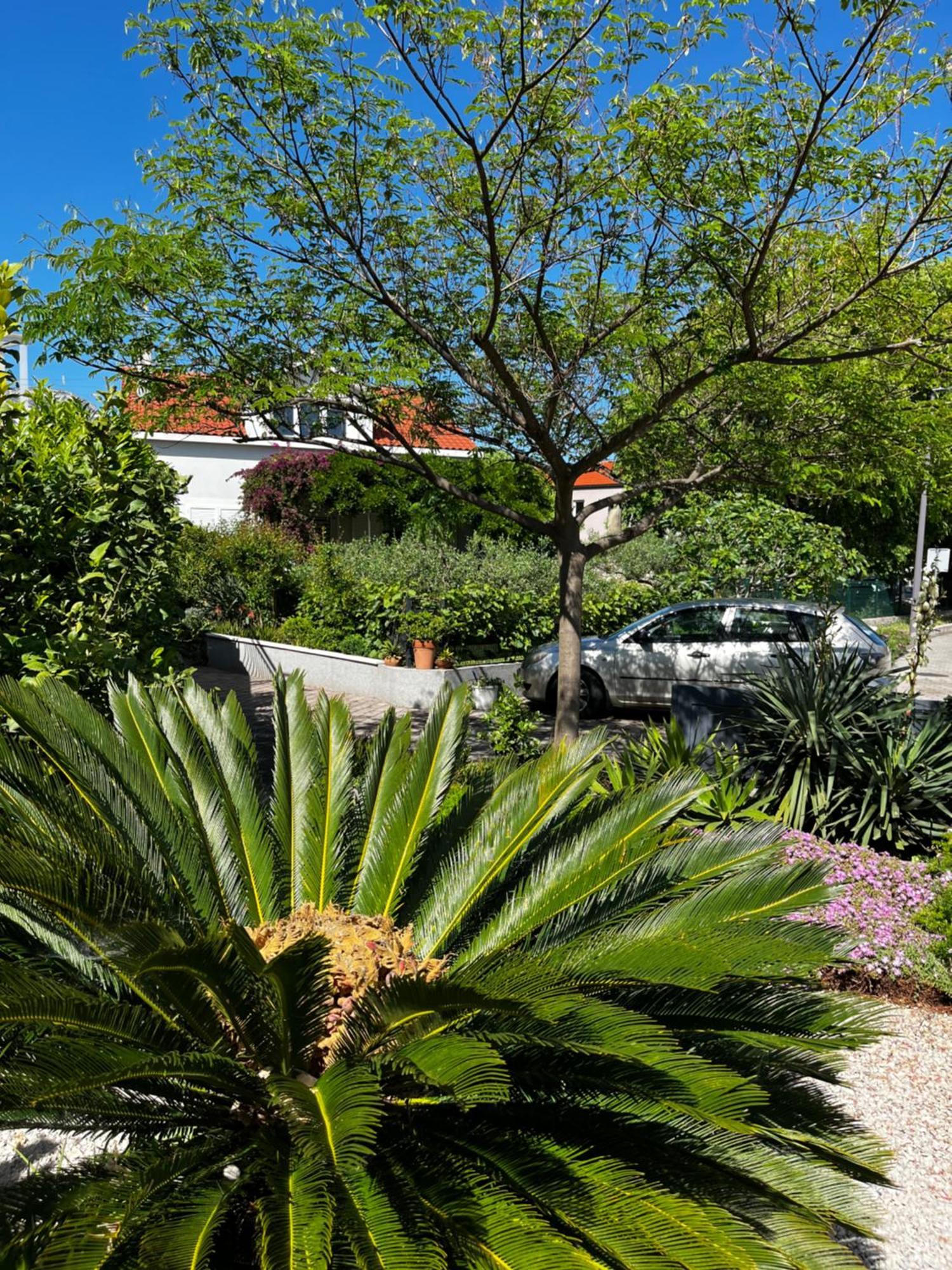 Tianri Korcula Town Exterior foto